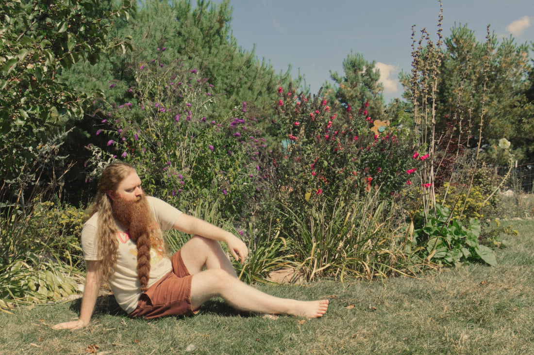 Summer Sun at Sunshine Acres